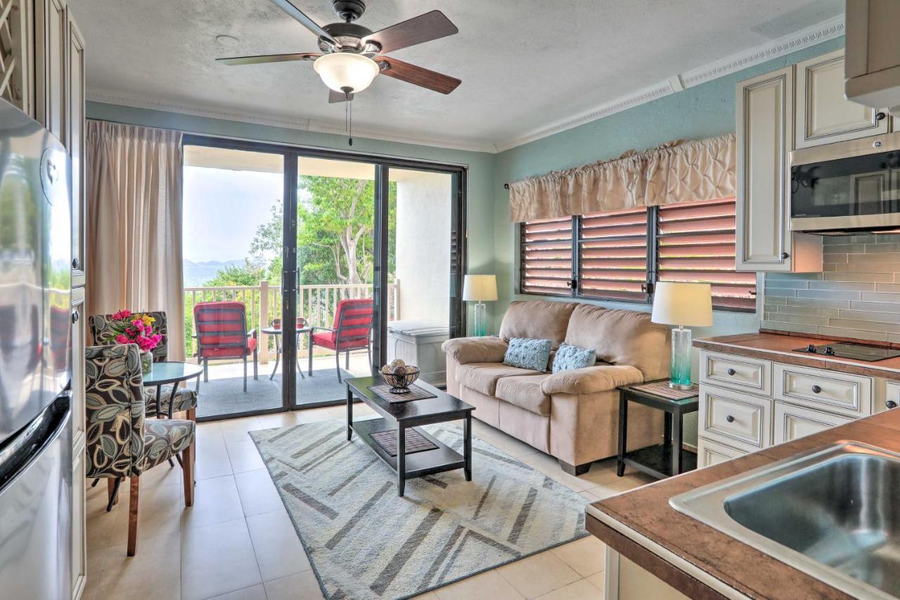 Saint Thomas Condo With Ocean Views, Walk To Beach! Frydendal Bagian luar foto