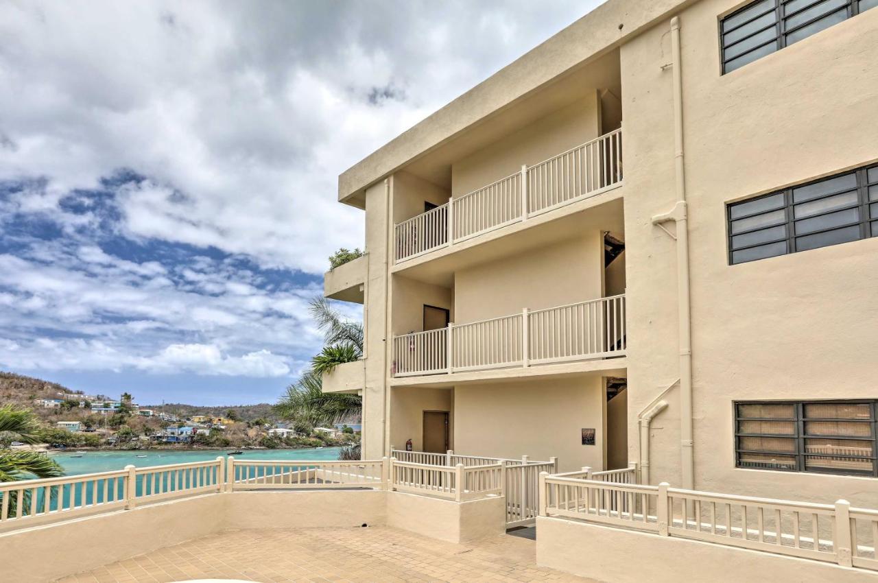 Saint Thomas Condo With Ocean Views, Walk To Beach! Frydendal Bagian luar foto